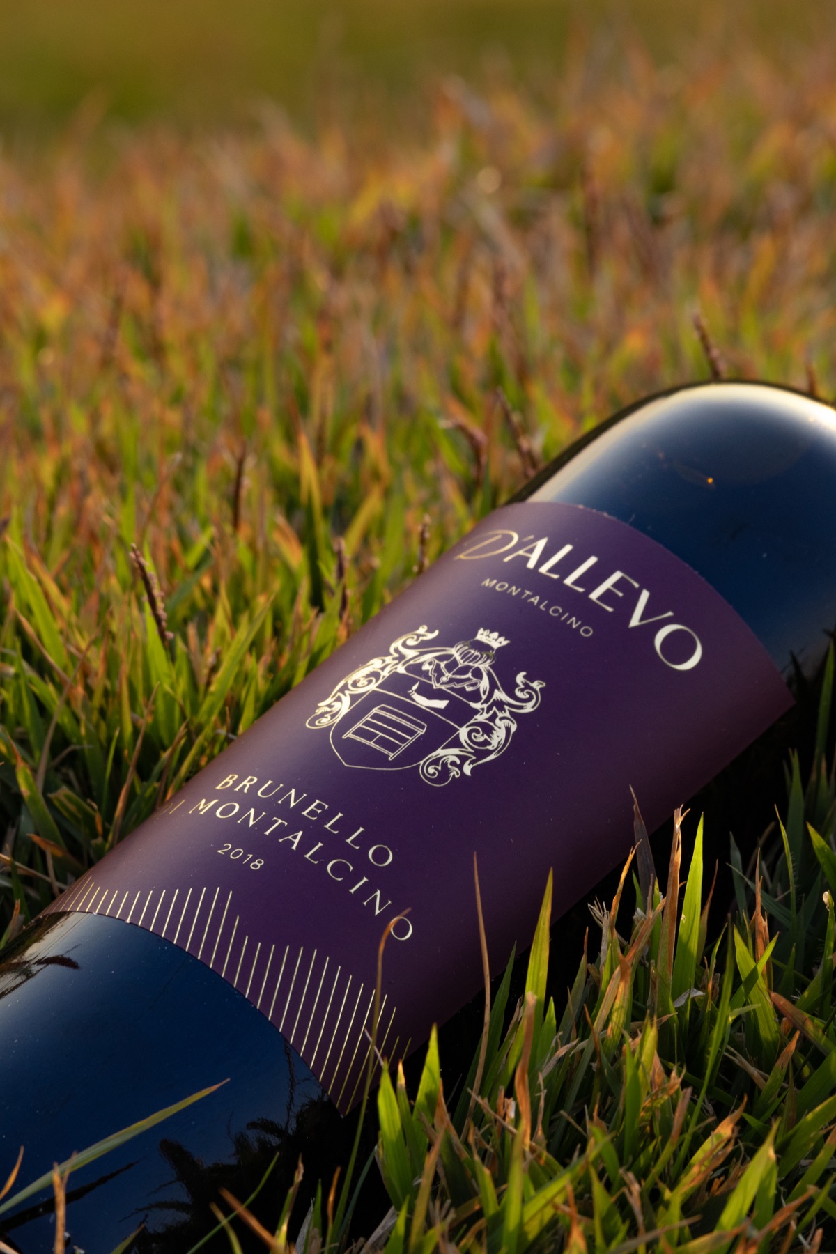 Dallevo — imagem 4